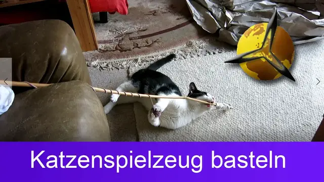 Video thumbnail for Katzenspielzeug selber basteln / bauen