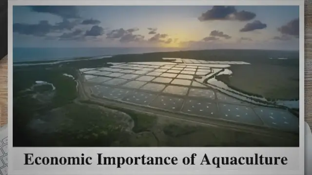 'Video thumbnail for Best 10 Economic Importance of Aquaculture'