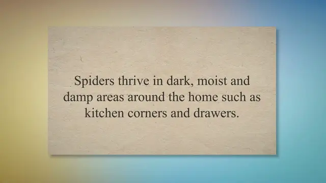 Video thumbnail for How to get rid of spiders