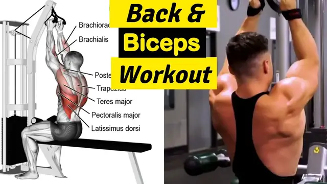 Video thumbnail for Back and Biceps Workout for Strength and Muscle