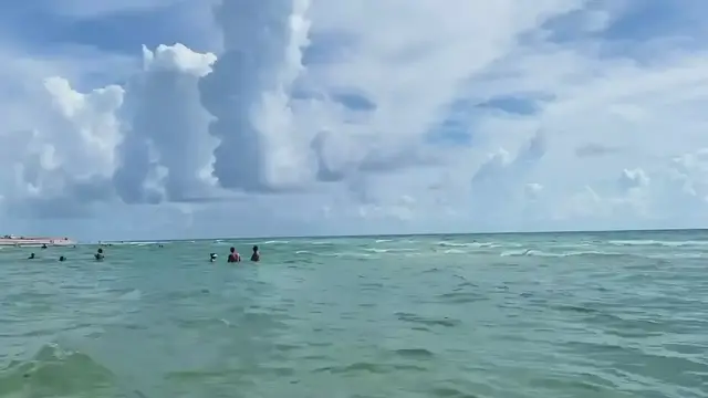 Video thumbnail for Swimming Miami Beach