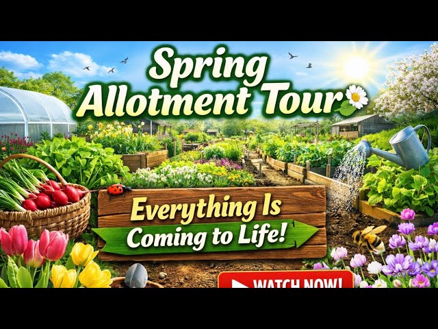 Video thumbnail for Spring Allotment Tour 🌱 Everything Is Coming to Life!