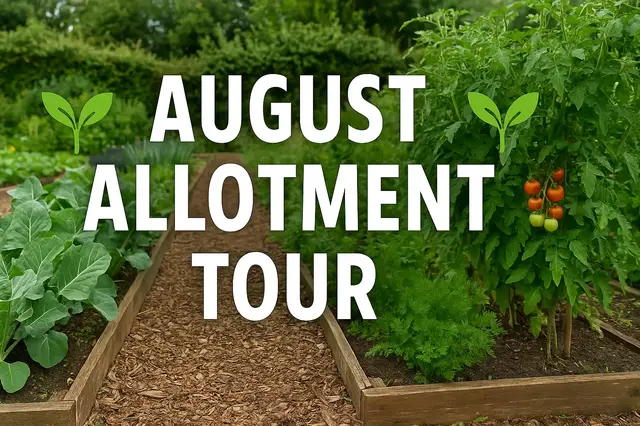 'Video thumbnail for 🌿 August Allotment Tour 🌿'