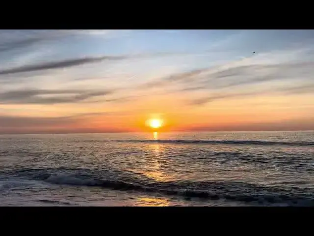 Video thumbnail for A Recent Friday in Bay Head