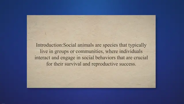 Video thumbnail for Behavioral biology of social animals