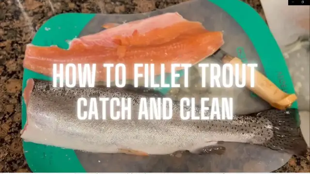 Video thumbnail for Trout Catch and Cook Big Bear Lake California #CatchandClean #howtoFillet #fishing