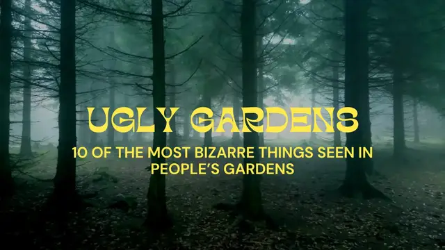 Video thumbnail for 10 Of The Most Bizarre Things Seen In People’s Gardens