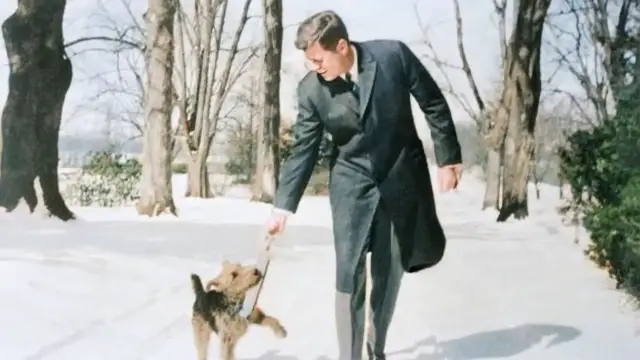 Video thumbnail for Every Pet In The Kennedy-Era White House