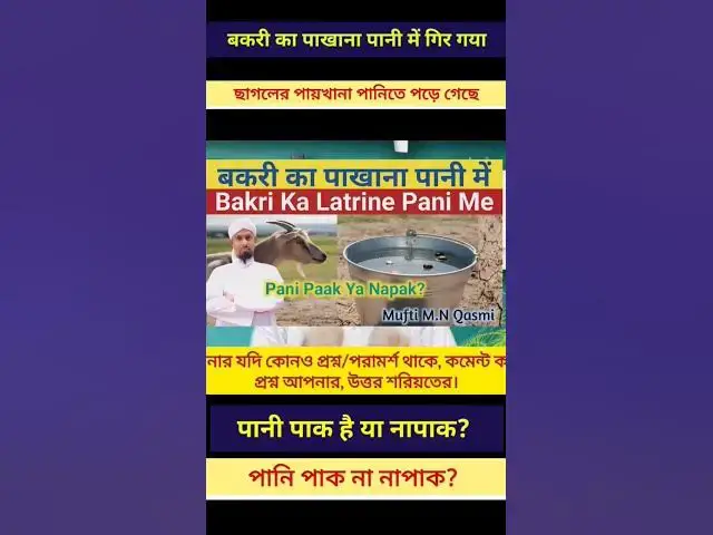 Video thumbnail for Bakri Ka Latrine Pani Me Gir Gaya || ছাগলের পায়খানা পানিতে পড়ে গেছে || #paknapak