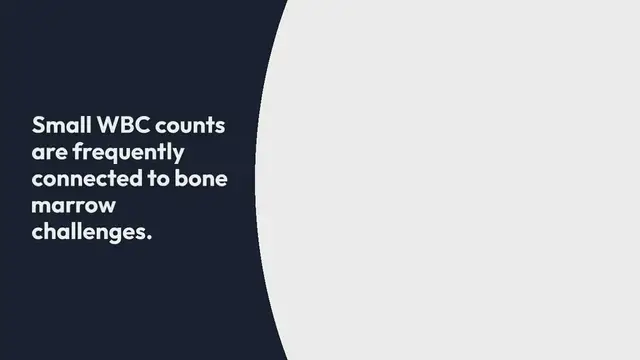 Video thumbnail for The World baseball classic schedule Diaries