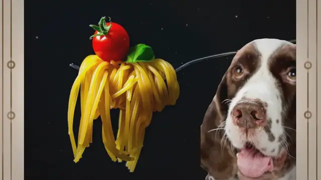 Video thumbnail for Can dogs eat spaghetti?