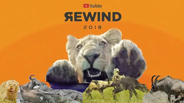 Video thumbnail for YouTube Rewind 2018 - Wildlife Style!