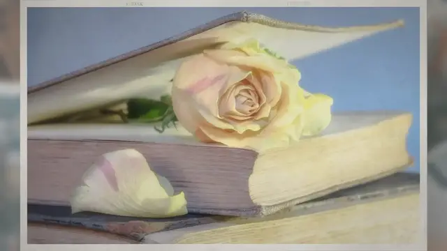 Video thumbnail for For How Long Do Roses Bloom?