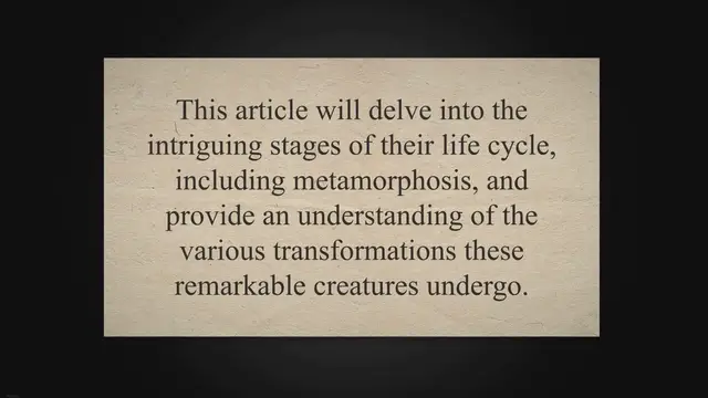 Video thumbnail for Amphibian life cycle and metamorphosis stages