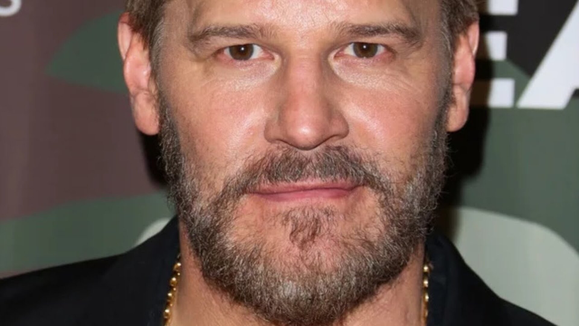 Video thumbnail for The Truth About David Boreanaz Revealed