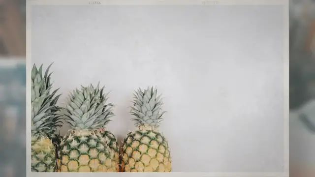 'Video thumbnail for Do Pineapples Grow in Florida?'