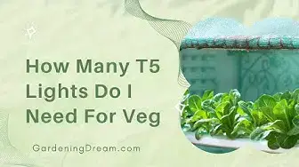 Video thumbnail for How Many T5 Lights Do I Need For Veg