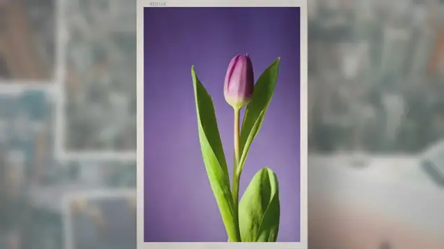 Video thumbnail for Can Lilacs Grow in Pots? Do They Grow Well?