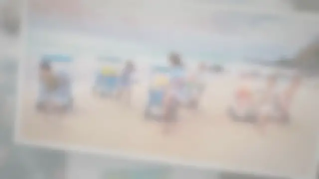 'Video thumbnail for What Makes A Good Beach Cart?'