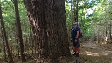 'Video thumbnail for Sandy Lake Park'
