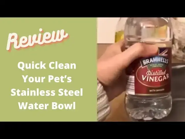 Video thumbnail for How to Remove limescale easily from your pet's stainless steel water bowl. (no scrubbing)