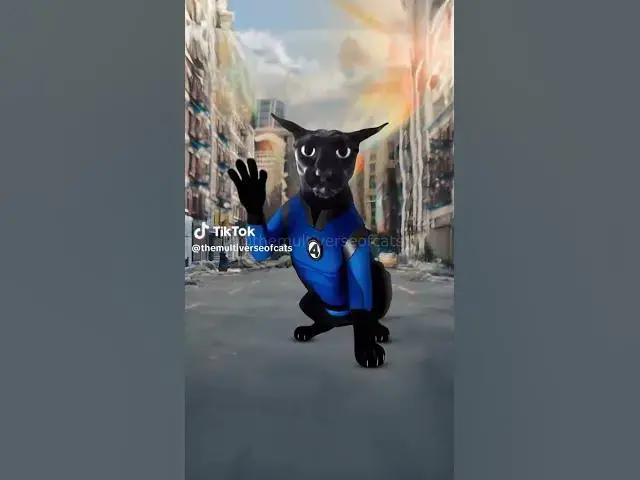 'Video thumbnail for #chat #lifeisbutadream #cat'