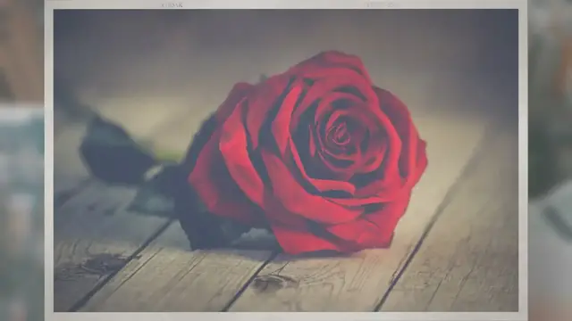 Video thumbnail for How Long Do Roses Last in a Vase?