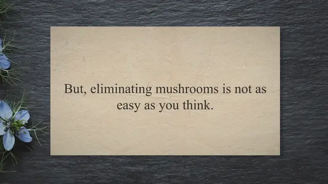 'Video thumbnail for What Kills Mushroom Spores? | There Is A Long List'