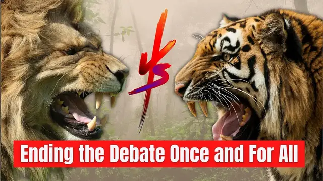 Video thumbnail for Lion vs Tiger Who Would Win - Ending the Debate Once and For All