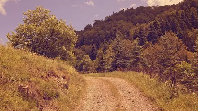 Video thumbnail for Earthy brown color: video blog