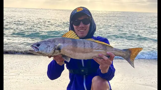 'Video thumbnail for We Caught 7 White Seabass from Shore! Surf Fishing for White Seabass'
