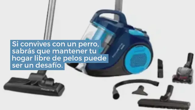 Video thumbnail for Las 10 Mejores Aspiradoras Para Pelos de Perro en 2024