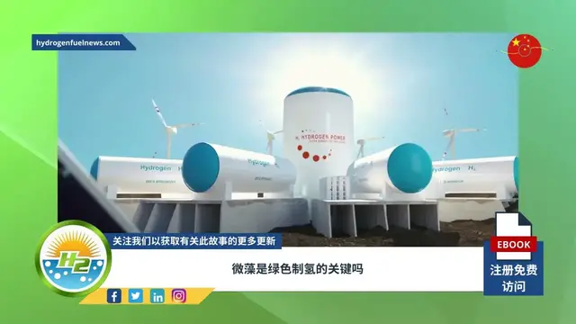 Video thumbnail for [Chinese] Are micro-algae the key to green hydrogen production?