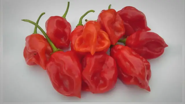 Video thumbnail for Caribbean Season Peppers: The Secret To Caribbean Cuisine?