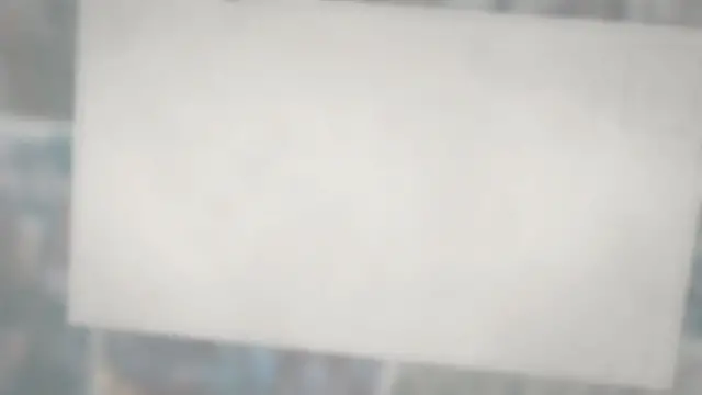 Video thumbnail for Do Bees Really Have Knees?