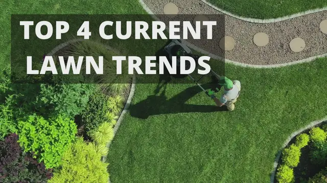 'Video thumbnail for Top 4 Lawn Trends'