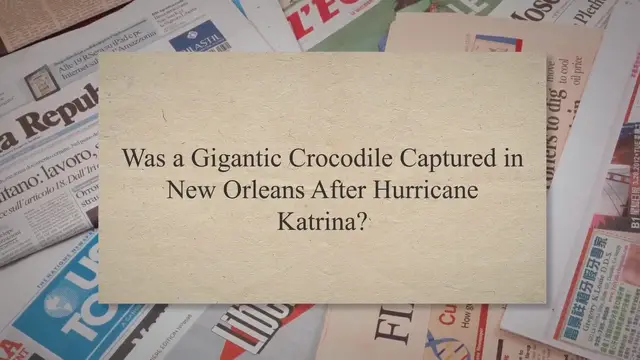 Video thumbnail for Was a Gigantic Crocodile Captured in New Orleans After Hurricane Katrina?