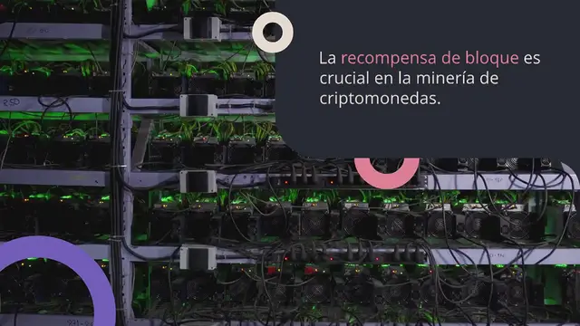 Video thumbnail for Recompensa de Bloque: Incentivo Económico en la Minería de Criptomonedas.