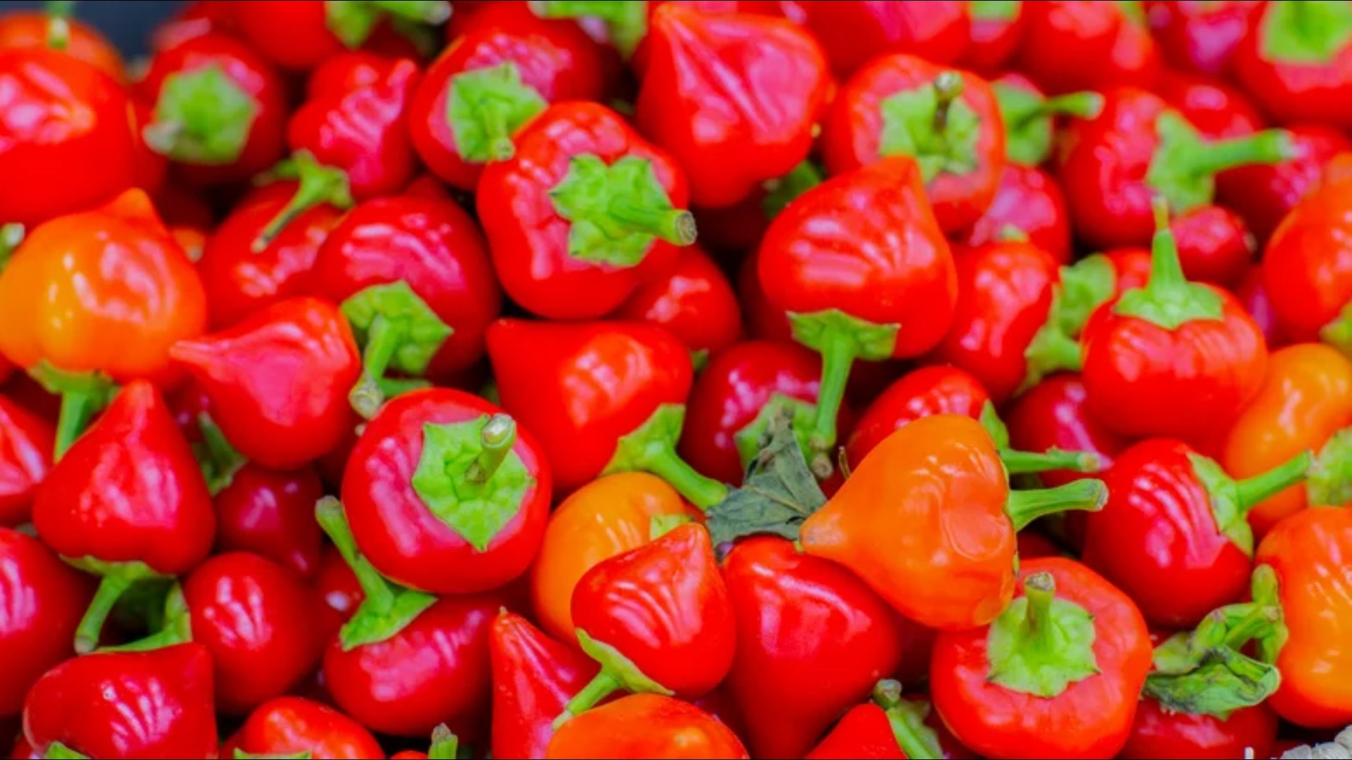 Video thumbnail for Here's The Truth About Pimentos