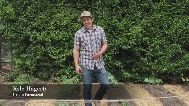 Video thumbnail for How To Plant A Vegetable Garden