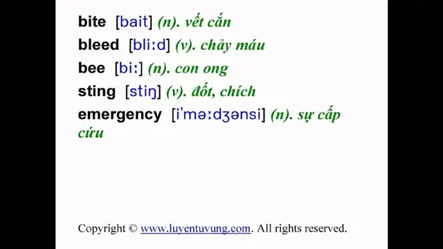 Video thumbnail for Learn English Vocabulary - Grade 8 - Unit 09 - Lesson 01
