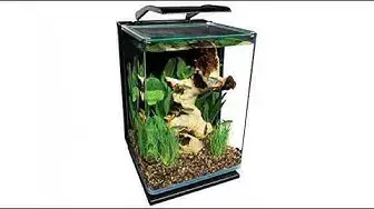 'Video thumbnail for Reviews MarineLand 5 Gallon Portrait Glass LED Aquarium Kit'