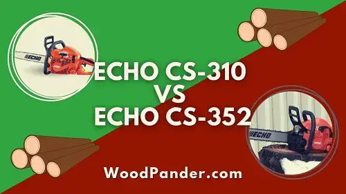 Video thumbnail for Echo CS-310 VS CS-352 (Which Option is better?)