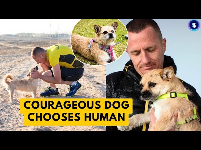 Video thumbnail for An Ultra Marathon Runner And Stray Dog Fell In Love