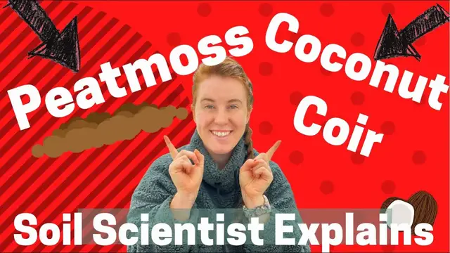 Video thumbnail for Using Coconut Coir For Starting Seedlings. This Is Different Than Peat Moss Seed Starting! 🥬