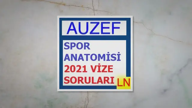 Video thumbnail for Spor Anatomisi 2021 Vize Soruları