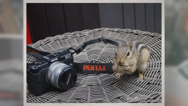 Video thumbnail for Pentax Q: Do you need one in 2022