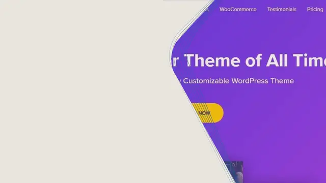 Video thumbnail for How to Choose a WordPress Theme – 11 Things To Consider