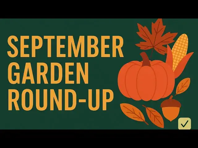 'Video thumbnail for ✅ “September Allotment Round-Up | Harvest Highlights & Key Autumn Jobs”'