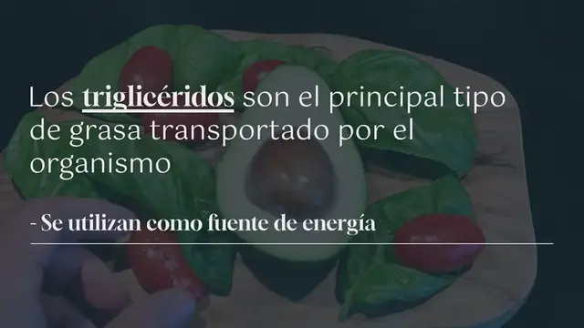 Video thumbnail for Remedios caseros y naturales para disminuir los triglicéridos